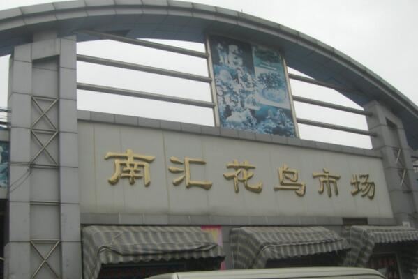 全国十大花鸟鱼虫市场,十里河花鸟市场上榜,第一全国规模最大
