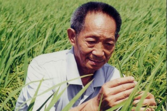 中国十大功勋人物 干部楷模焦裕禄上榜,第一被尊称“国父”