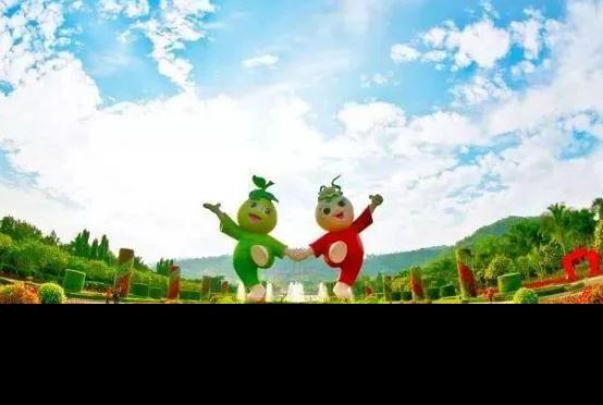 漳州旅游必去十大景点 看看人间仙境花花世界东南花都花博园