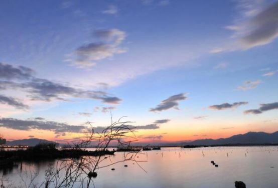 漳州旅游必去十大景点 看看人间仙境花花世界东南花都花博园