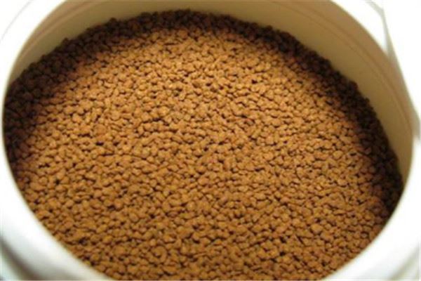 鱼粮品牌排行榜：海豚水族上榜，日清丸红第二