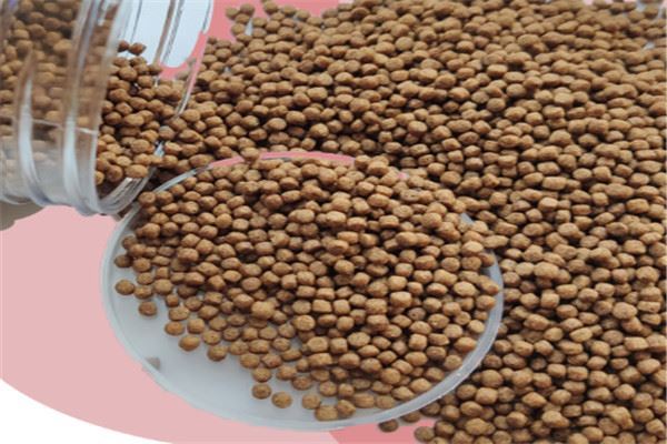 鱼粮品牌排行榜：海豚水族上榜，日清丸红第二