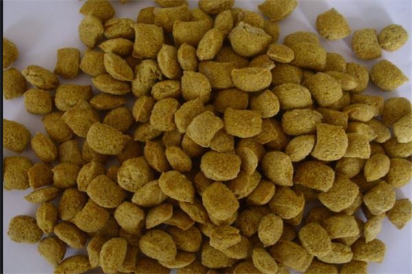 鱼粮品牌排行榜：海豚水族上榜，日清丸红第二