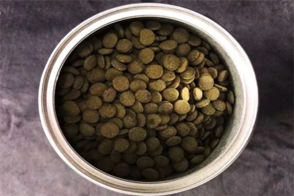 鱼粮品牌排行榜：海豚水族上榜，日清丸红第二