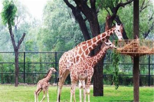 济南十大最受好评景点：千佛山第二，第七家庭游最推荐
