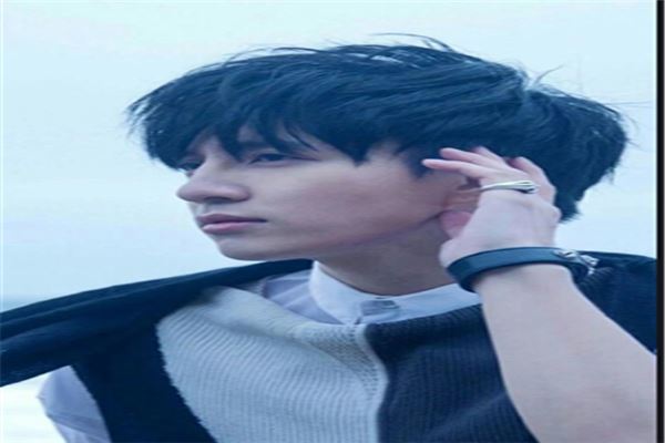 中国内地男歌手排行榜：李健上榜，刘欢第一