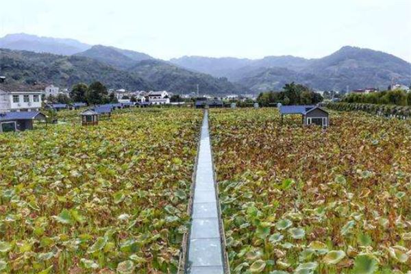 安康十大风景名胜排行榜:香溪洞上榜,第十有梯田
