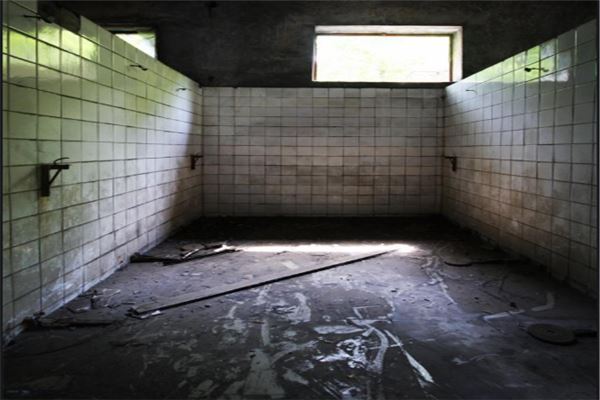 十大高分韩国恐怖电影：考死上榜，蔷花红莲第一