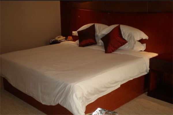 济南十大酒店排行榜:舜和国际酒店上榜,山东大厦第六