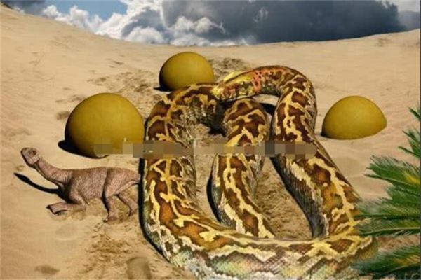 远古最可怕的五大巨蛇：非洲巨蟒上榜，它的体型最大