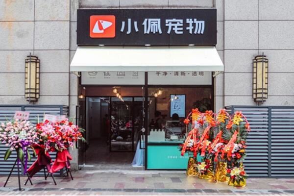 宠物店连锁品牌排行前十名,圣宠宠物上榜,第二有六千家连锁店