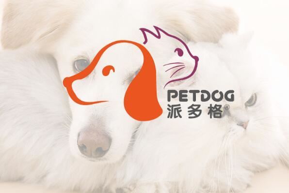 宠物店连锁品牌排行前十名，圣宠宠物上榜，第二有六千家连锁店