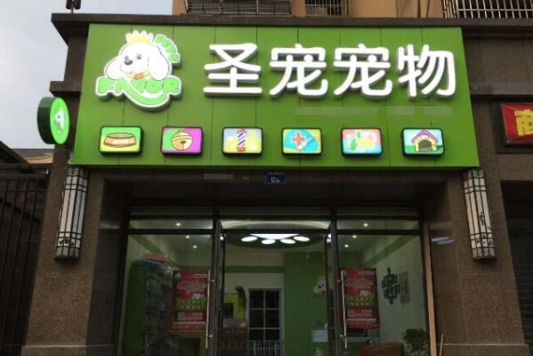 宠物店连锁品牌排行前十名，圣宠宠物上榜，第二有六千家连锁店
