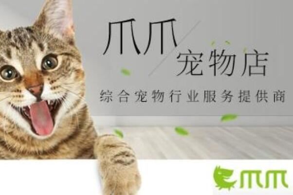 宠物店连锁品牌排行前十名，圣宠宠物上榜，第二有六千家连锁店