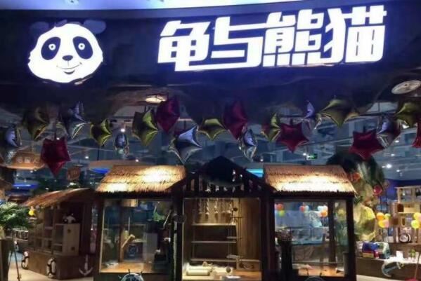 宠物店连锁品牌排行前十名，圣宠宠物上榜，第二有六千家连锁店