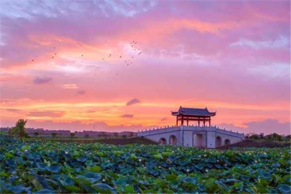 东莞十大免费景点 粤晖园上榜，旗峰公园排第七位