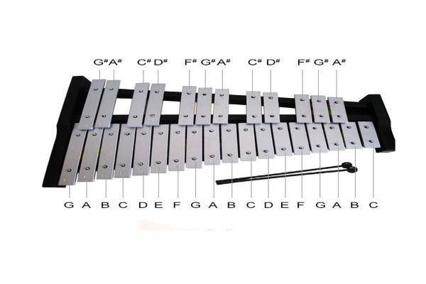 世界十大冷门乐器 这些乐器相当冷门连名字都没听过