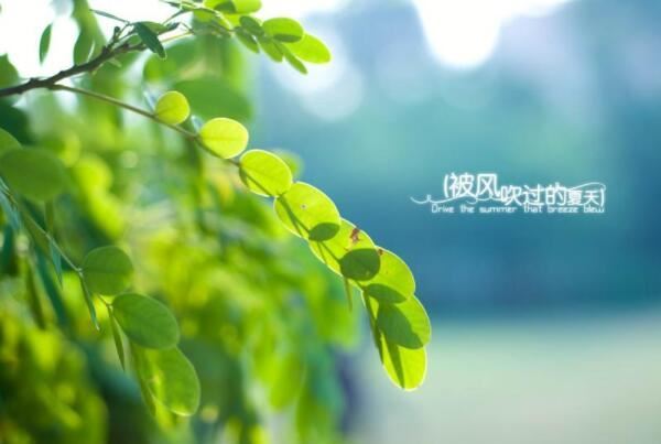 2021抖音十大结婚歌曲 告白气球第一，往后余生上榜