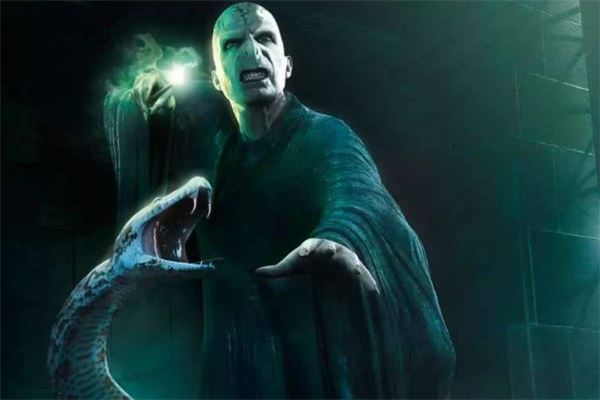 哈利波特十大魔法师：格林德沃上榜，哈利波特仅排第十