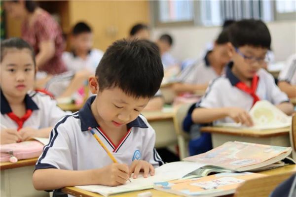 漯河市公立小学排名榜 漯河市经济开发区小学上榜