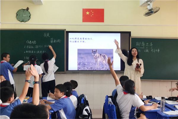 漯河市公立小学排名榜 漯河市经济开发区小学上榜