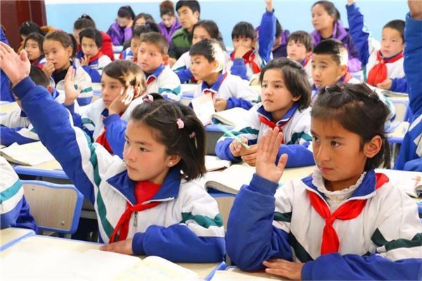 漯河市公立小学排名榜 漯河市经济开发区小学上榜