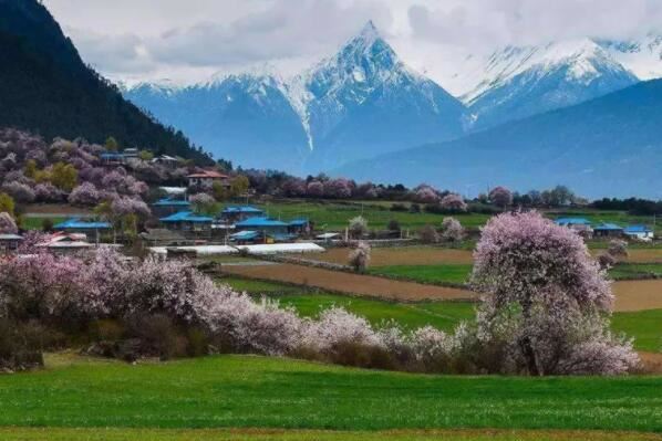 中国人口最少的城市前十名，青海占4位，第三桃花节闻名国内