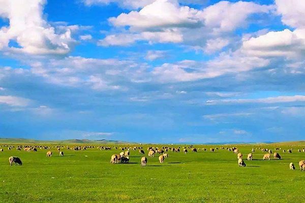 中国面积最大的十个城市 那曲地广人稀面积36.96万km²