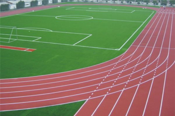 滨州十大运动中心排行榜：贝乐虎上榜，云燕健身俱乐部第三