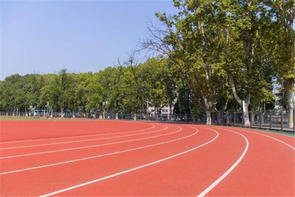 滨州十大运动中心排行榜：贝乐虎上榜，云燕健身俱乐部第三