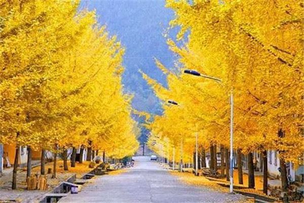 韶关十大风景名胜排名：金鸡岭上榜，第3仙气十足