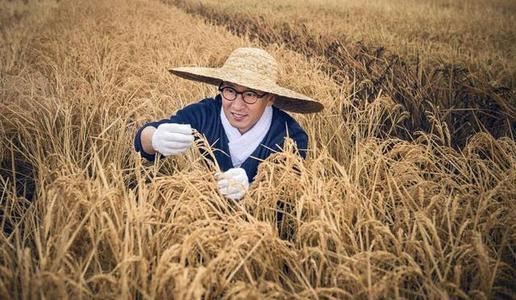 周杰捐的大米是在哪里种的?周杰大米为什么贵?