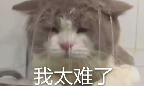 我太难了是什么梗?我太难了最近我压力很大出处介绍