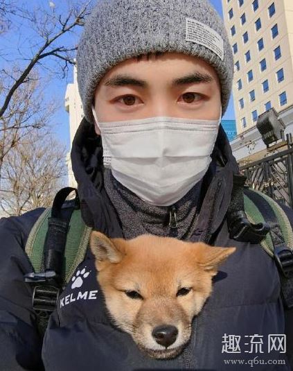 郑爽金主是谁 郑爽出轨谁