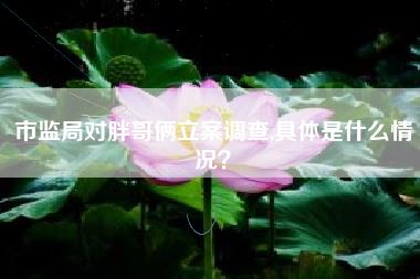 市监局对胖哥俩立案调查,具体是什么情况?
