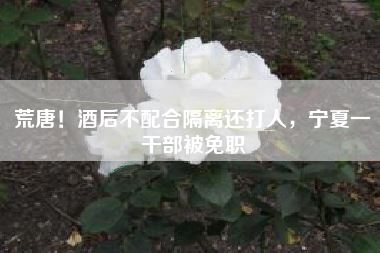 荒唐！酒后不配合隔离还打人，宁夏一干部被免职