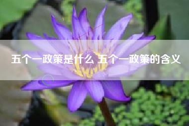 五个一政策是什么 五个一政策的含义