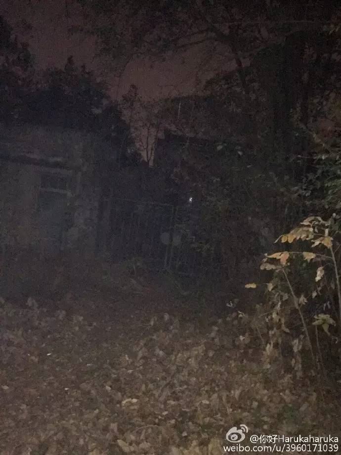 龙泉废弃医院诡异事件 探访龙泉“闹鬼”废弃精神病医院