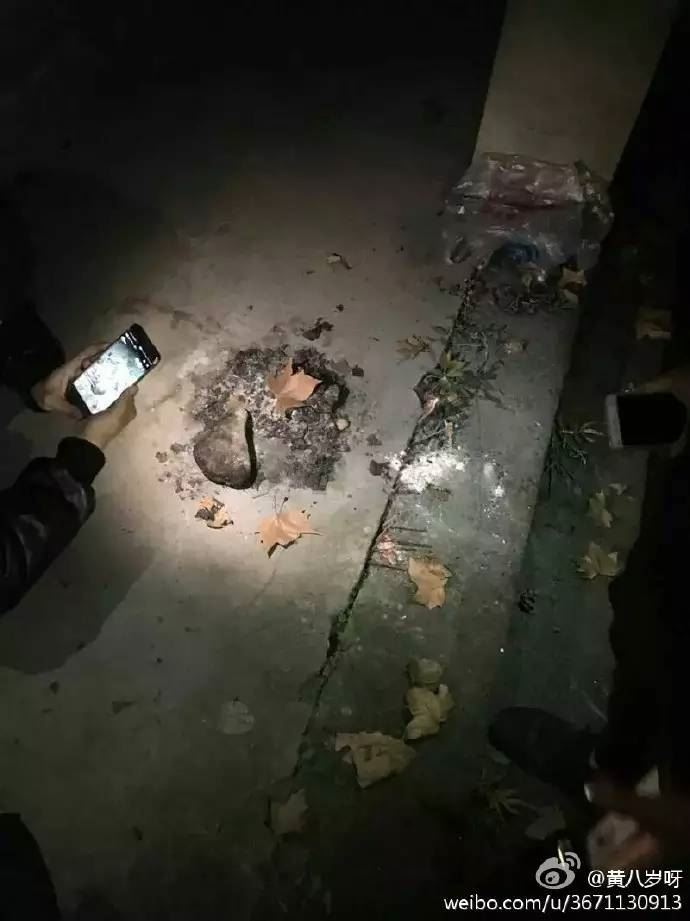 龙泉废弃医院诡异事件 探访龙泉“闹鬼”废弃精神病医院