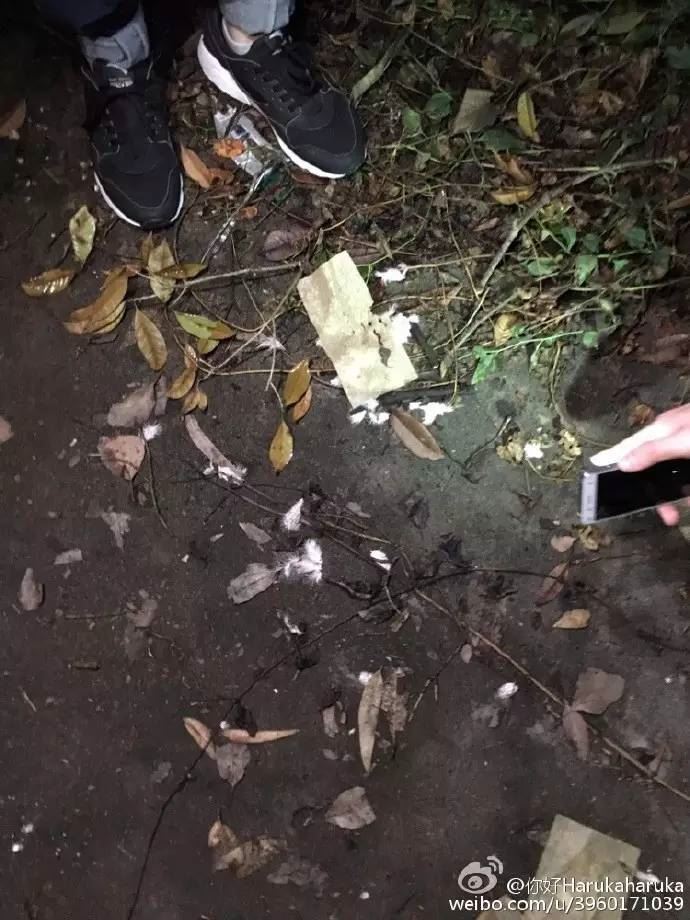 龙泉废弃医院诡异事件 探访龙泉“闹鬼”废弃精神病医院