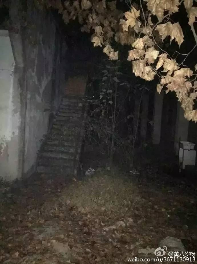 龙泉废弃医院诡异事件 探访龙泉“闹鬼”废弃精神病医院