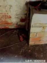 龙泉废弃医院诡异事件 探访龙泉“闹鬼”废弃精神病医院