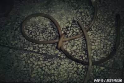 龙泉废弃医院诡异事件 探访龙泉“闹鬼”废弃精神病医院