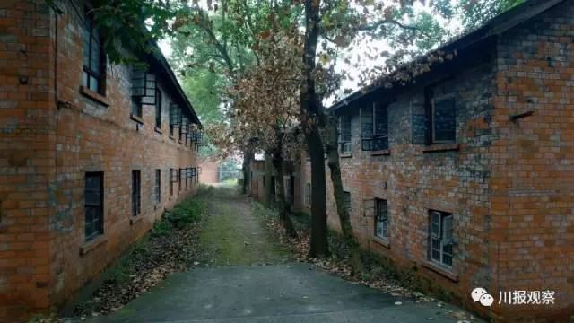 龙泉废弃医院诡异事件 探访龙泉“闹鬼”废弃精神病医院