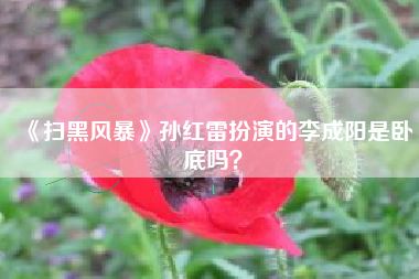 《扫黑风暴》孙红雷扮演的李成阳是卧底吗？