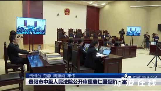 袁仁国当庭认罪,,袁仁国是谁？认了什么罪？