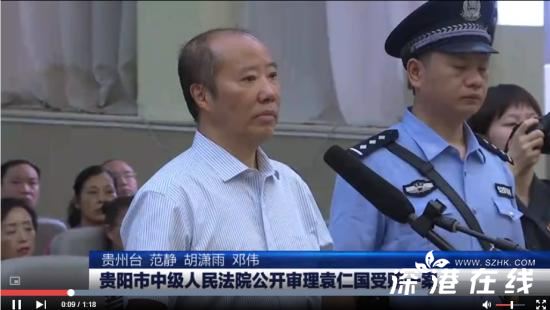 袁仁国当庭认罪,,袁仁国是谁？认了什么罪？