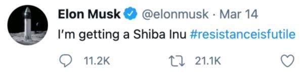 什么是shib币(狗屎币),狗屎币和狗狗币有啥关系