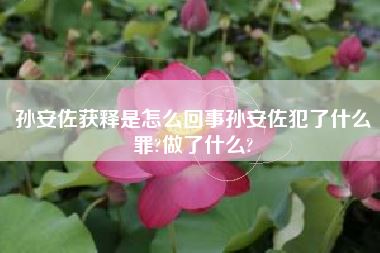 孙安佐获释是怎么回事孙安佐犯了什么罪?做了什么?