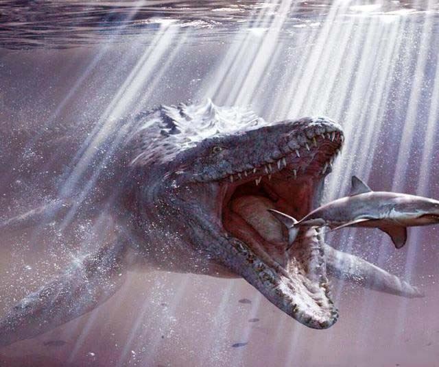远古十大海洋凶猛巨兽排名 灭绝的恐怖海洋生物有哪些